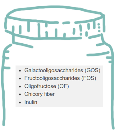 Galactooligosaccharides (GOS), Fructooligosaccharides (FOS), Oligofructose (OF), Chicory fiber, Inulin